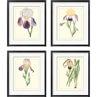 Framed 'Purple Irises 4 Piece Framed Art Print Set' border=