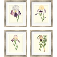 Framed 'Purple Irises 4 Piece Framed Art Print Set' border=