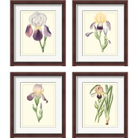 Framed 'Purple Irises 4 Piece Framed Art Print Set' border=