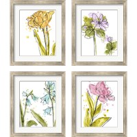 Framed 'Spring Contours 4 Piece Framed Art Print Set' border=