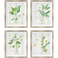 Framed 'Floursack Herbs 4 Piece Framed Art Print Set' border=