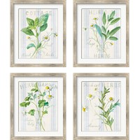 Framed 'Floursack Herbs 4 Piece Framed Art Print Set' border=