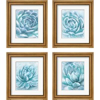 Framed 'Aqua Succulen 4 Piece Framed Art Print Set' border=