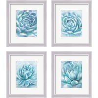 Framed 'Aqua Succulen 4 Piece Framed Art Print Set' border=