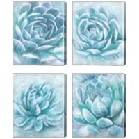 Framed 'Aqua Succulen 4 Piece Canvas Print Set' border=