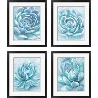 Framed 'Aqua Succulen 4 Piece Framed Art Print Set' border=