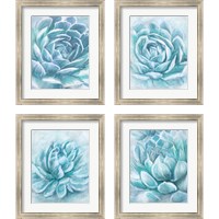 Framed 'Aqua Succulen 4 Piece Framed Art Print Set' border=