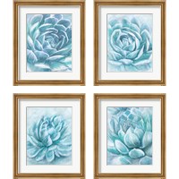 Framed 'Aqua Succulen 4 Piece Framed Art Print Set' border=