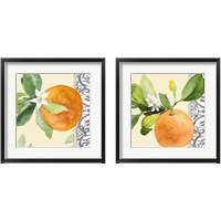 Framed 'Orange Blossoms 2 Piece Framed Art Print Set' border=