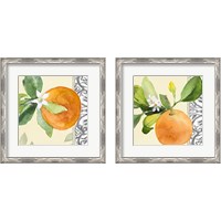 Framed 'Orange Blossoms 2 Piece Framed Art Print Set' border=