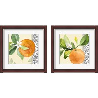 Framed 'Orange Blossoms 2 Piece Framed Art Print Set' border=