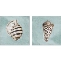 Framed 'Modern Shell on Teal 2 Piece Art Print Set' border=