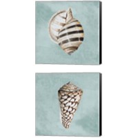 Framed 'Modern Shell on Teal 2 Piece Canvas Print Set' border=