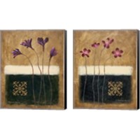 Framed 'Color Field Blossom 2 Piece Canvas Print Set' border=