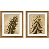 Framed 'Ferns 2 Piece Framed Art Print Set' border=