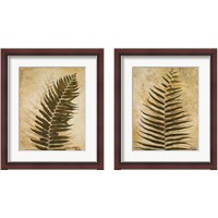 Framed 'Ferns 2 Piece Framed Art Print Set' border=