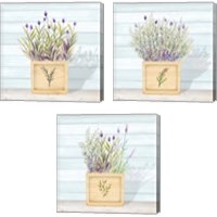 Framed 'Lavender and Wood Square 3 Piece Canvas Print Set' border=