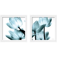 Framed 'Translucent Tulips 2 Piece Framed Art Print Set' border=