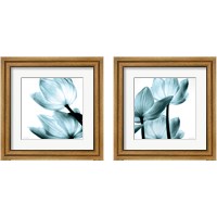 Framed 'Translucent Tulips 2 Piece Framed Art Print Set' border=