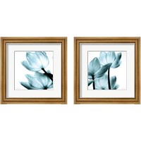 Framed 'Translucent Tulips 2 Piece Framed Art Print Set' border=