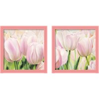 Framed 'Primavera  2 Piece Framed Art Print Set' border=