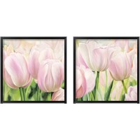 Framed 'Primavera  2 Piece Framed Art Print Set' border=