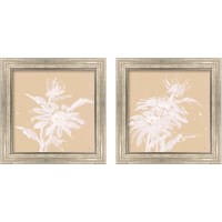 Framed 'Echinacea  2 Piece Framed Art Print Set' border=