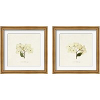 Framed 'Cornales Hydrangea 2 Piece Framed Art Print Set' border=