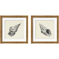 Framed 'Seashell Pencil Sketch 2 Piece Framed Art Print Set' border=