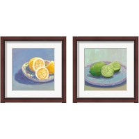 Framed 'Still Citrus 2 Piece Framed Art Print Set' border=