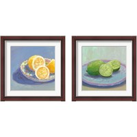 Framed 'Still Citrus 2 Piece Framed Art Print Set' border=