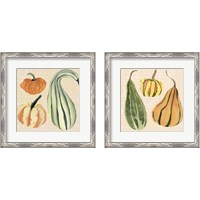 Framed 'Decorative Gourd 2 Piece Framed Art Print Set' border=