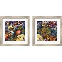 Framed 'Sea Life 2 Piece Framed Art Print Set' border=