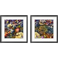 Framed 'Sea Life 2 Piece Framed Art Print Set' border=