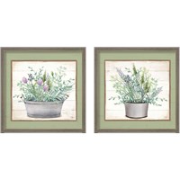 Framed 'Pot of Herbs 2 Piece Framed Art Print Set' border=