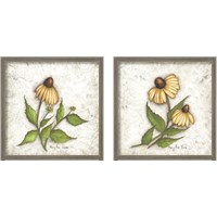 Framed 'Bloomin' Coneflowers 2 Piece Framed Art Print Set' border=