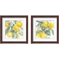 Framed 'Citrus Charm Lemons 2 Piece Framed Art Print Set' border=