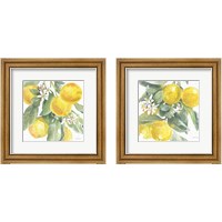 Framed 'Citrus Charm Lemons 2 Piece Framed Art Print Set' border=