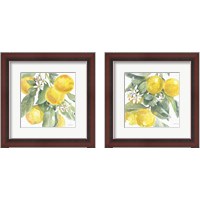 Framed 'Citrus Charm Lemons 2 Piece Framed Art Print Set' border=