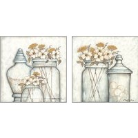 Framed 'Pretty Natural 2 Piece Art Print Set' border=