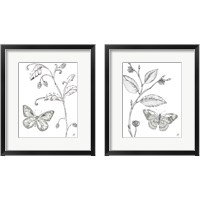 Framed 'Outdoor Beauties Butterfly 2 Piece Framed Art Print Set' border=