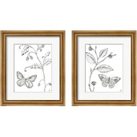 Framed 'Outdoor Beauties Butterfly 2 Piece Framed Art Print Set' border=