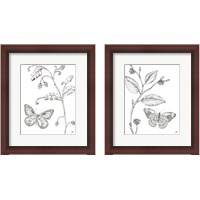 Framed 'Outdoor Beauties Butterfly 2 Piece Framed Art Print Set' border=