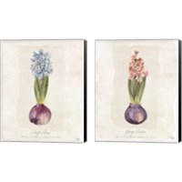 Framed 'Hyacinthus Orientalis 2 Piece Canvas Print Set' border=