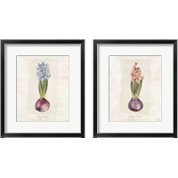 Framed 'Hyacinthus Orientalis 2 Piece Framed Art Print Set' border=