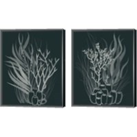 Framed 'Underwater Bouquet 2 Piece Canvas Print Set' border=