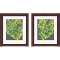 Framed 'Elephant Ears 2 Piece Framed Art Print Set' border=