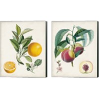 Framed 'Vintage Fruit 2 Piece Canvas Print Set' border=