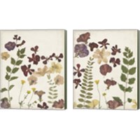 Framed 'Pressed Flower Arrangement 2 Piece Canvas Print Set' border=