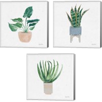 Framed 'Home Garden 3 Piece Canvas Print Set' border=